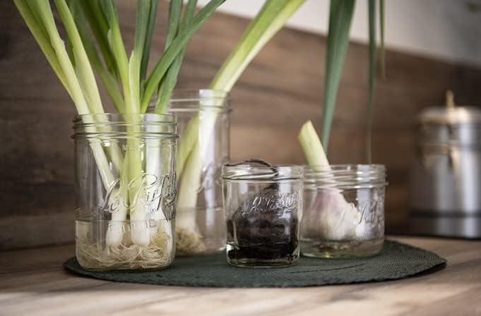 image:imageLe Parfait Familia Wiss Terrine Wide Mouth French Glass Jar wAirtight 2Piece System Gold Lids Ideal for Canning Food Storage Meal Prep Cake Jar amp DIY Crafts 16oz Pint Pack of 4 500ml48oz Single