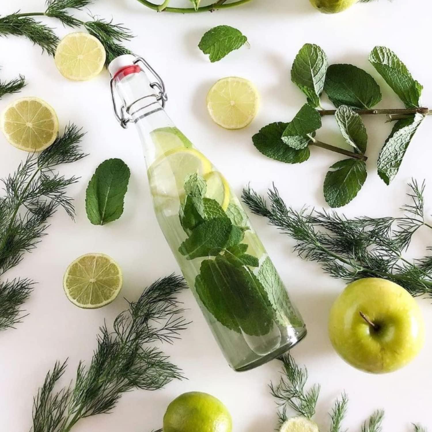 image:imageLe Parfait Bottles Glass Swing Top Bottle with Airtight Printed logo Swing Stopper Works as Preserving Bottle for Juices amp Salad Dressing 16oz Pack of 3 500mlSwing Top 500ml 16oz3Pack